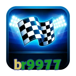 br9977
